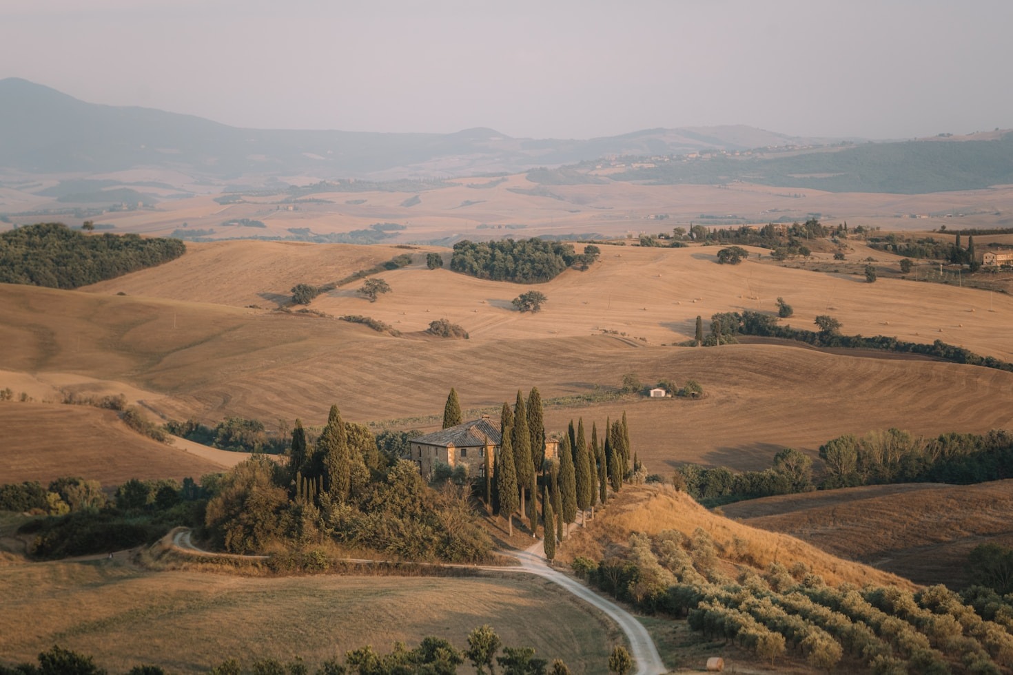 The Power of Visual Narratives in Modern Media